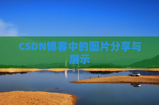 CSDN博客中的图片分享与展示